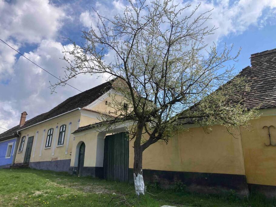 House By The Church - Entire House Crit Экстерьер фото